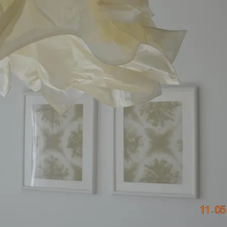 Ocean View Apartements Murine アパート *